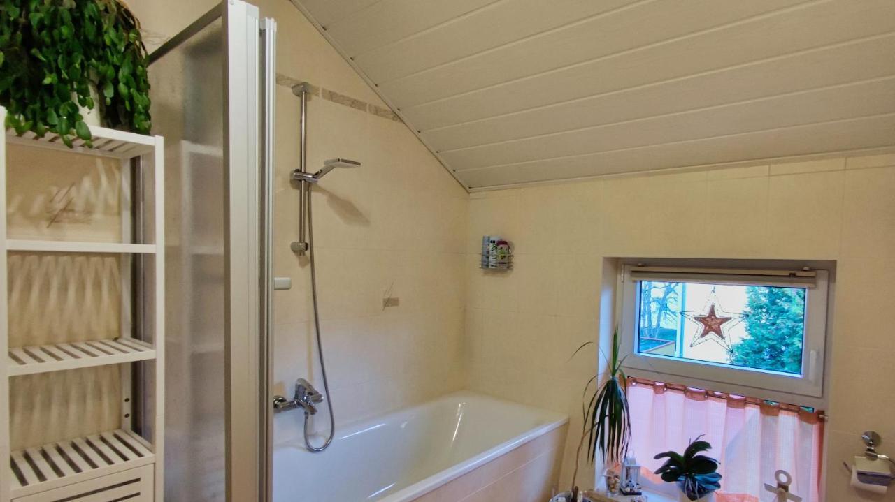Mycozyplace - Zwei Gemuetliche Zimmer Fuer Vier Dresden Eksteriør billede