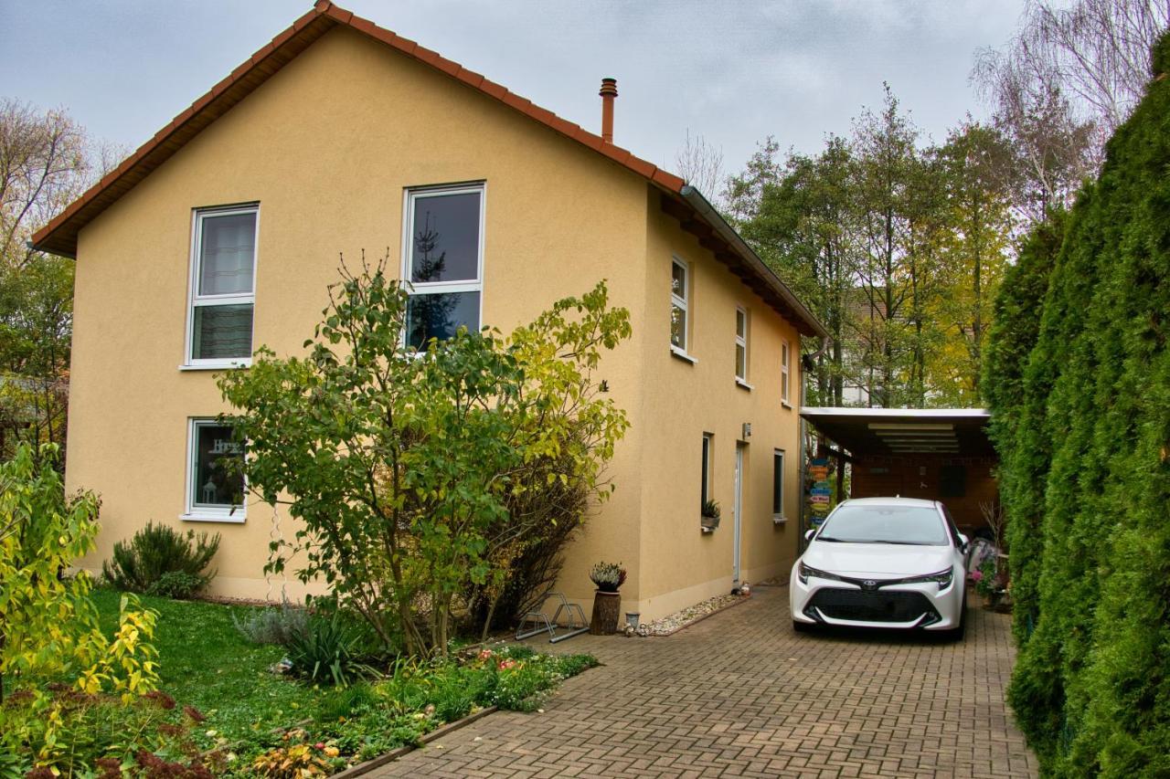 Mycozyplace - Zwei Gemuetliche Zimmer Fuer Vier Dresden Eksteriør billede