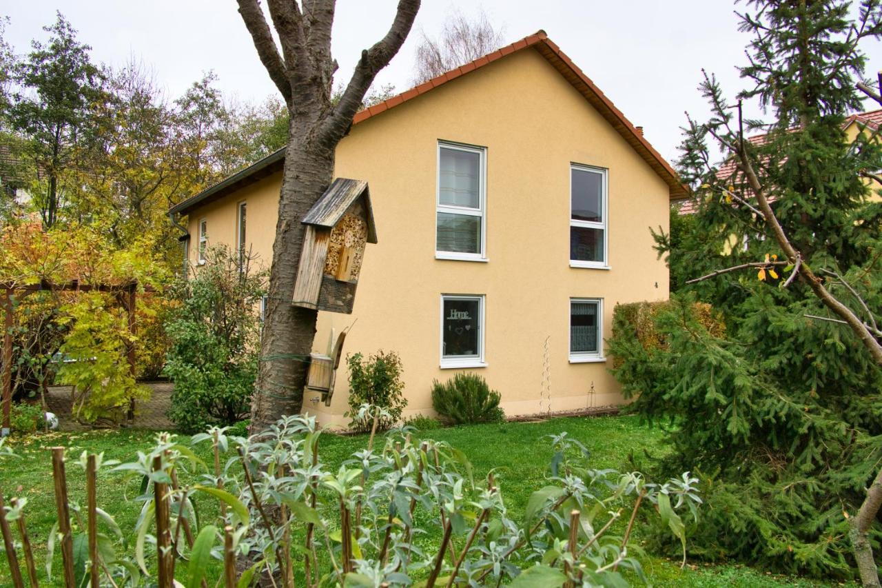Mycozyplace - Zwei Gemuetliche Zimmer Fuer Vier Dresden Eksteriør billede